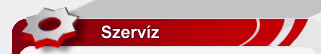 Szervíz